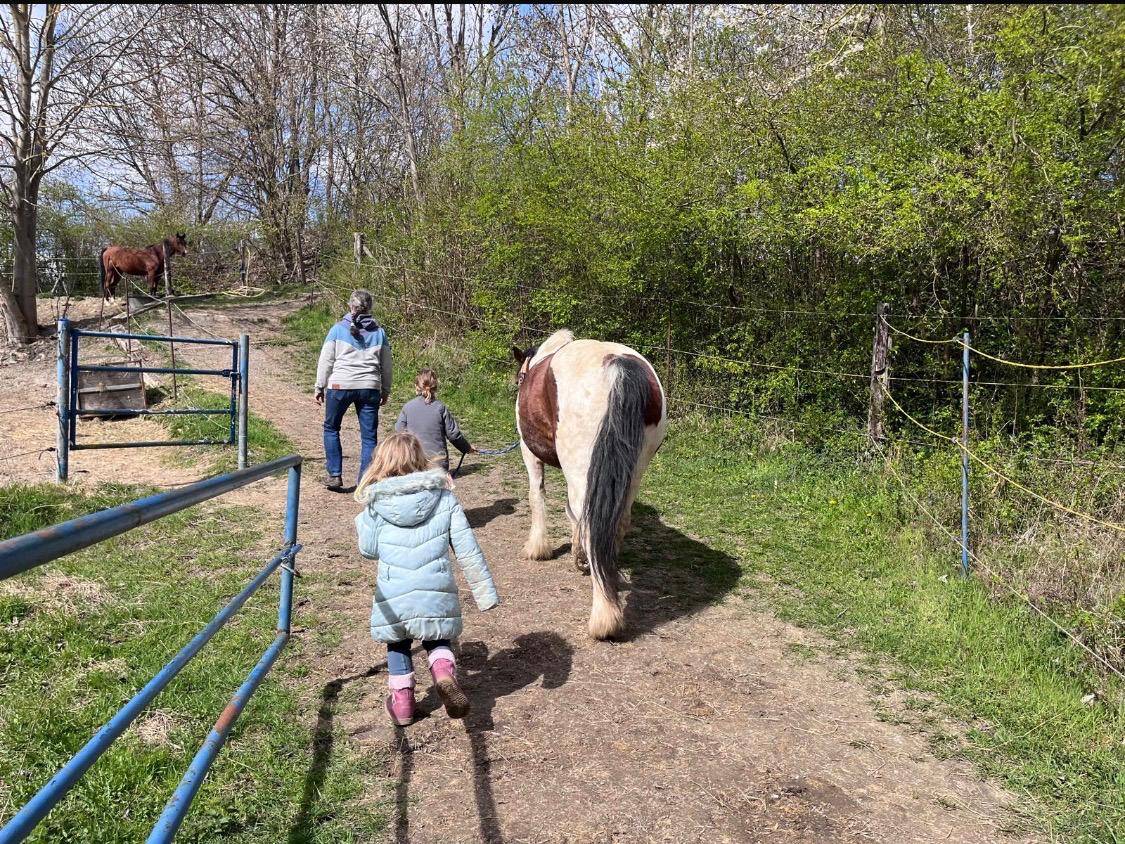 Therapeutin mit Kindern und Pony auf dem Weg