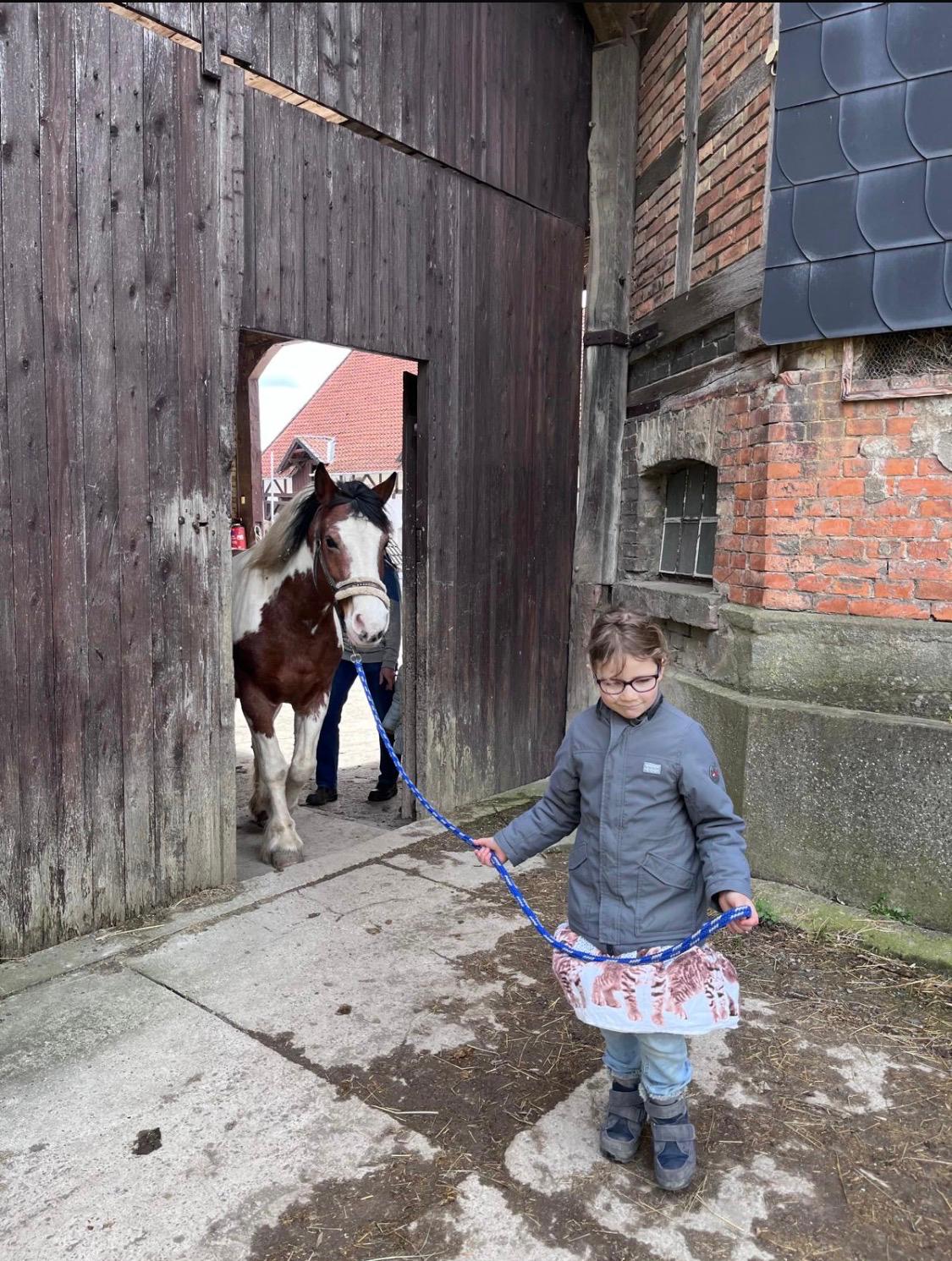 Kind führt Pony durch das Hoftor